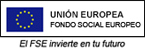Ir a 'Financiación Fondo Social Europeo', en ventana nueva