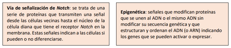 Figura 2