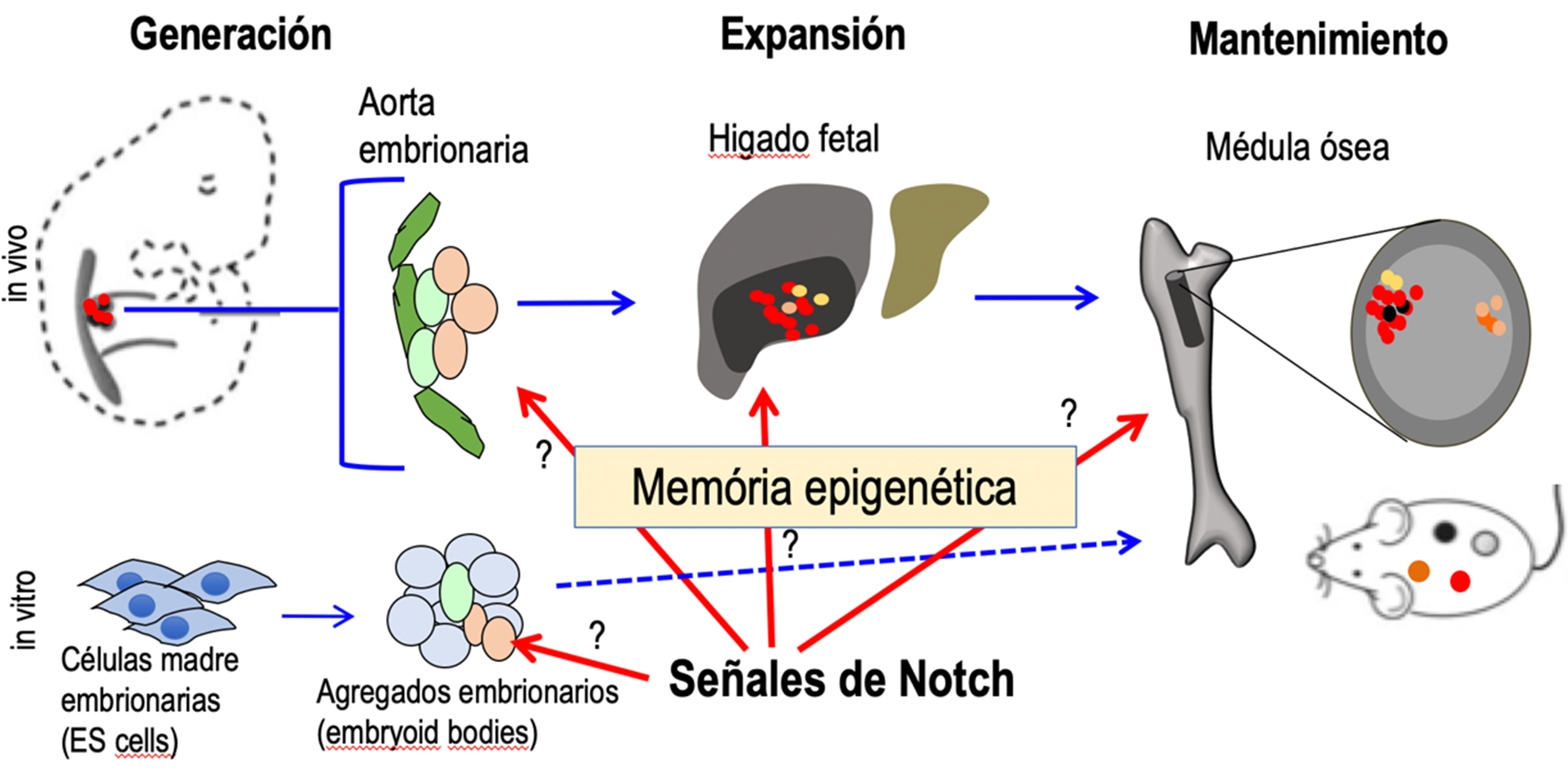 Figura 1